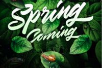 叮咚!悦琅园&ldquo;给春天的一封信&rdquo;,请注意查收!