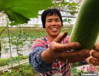 通讯:大藤峡移民的幸福新生活