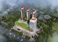 大桥悦时代 | 因为迟疑而错失百万,你会后悔多久?