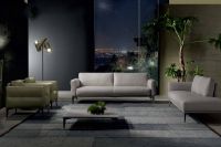 名扬四海的美称和不断增长的声誉 奥地利WIENER进口家具