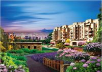 加推在即!恰到好处的低密纯洋房,且买且珍惜!