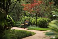 疫情期间,这一项目还持续热销?真的假的?