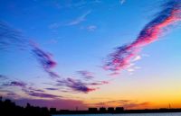 谁执价值之牛耳?2020年沈阳楼市划重点