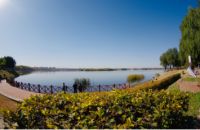 谁执价值之牛耳?2020年沈阳楼市划重点