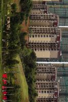 成群白鹭&ldquo;造访&rdquo;玫瑰湖公园