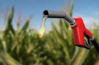 刚通知!本月底,秦皇岛所有加油站全部更换乙醇汽油!