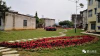 打造&ldquo;花园村庄&rdquo; 助乡村振兴