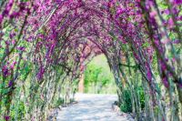 清明小长假,宜昌这些路段施工!