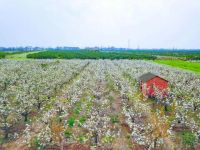 清明小长假,宜昌这些路段施工!