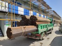 这一年的清明:给你最好的问候