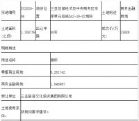 一天成交3宗商务金融用地,坐标三亚CBD和崖州湾科技城