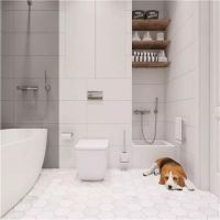 房子装修与设计后卫生间总特潮?因为这几点没做好!试试这种方法