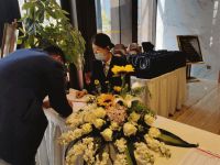 碧桂园携手搜狐线上抢红包活动 今天赶快来变现领钱