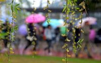 有雨!冷空气逼近,气温下降明显