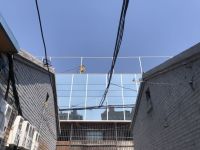 昌平一自建房装玻璃幕墙致鸟类撞击死亡 官方称已遮盖