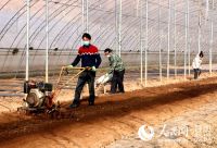 甘肃:牛肉面再飘香 复工复产活力足