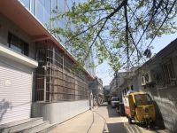 昌平一自建房装玻璃幕墙致鸟类撞击死亡 是否违建正调查