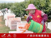 暖!思科智慧城携手京东爱心助农,解救&ldquo;困橘&rdquo;