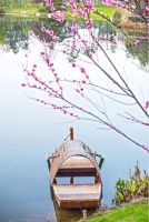 春天的天著|心之所向,身之所往