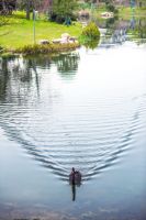 春天的天著|心之所向,身之所往