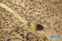 甘肃:八步沙的春天