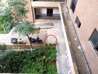 天降瓷砖砸伤住户致偏瘫 幸福邻里240户住户2家物管成被告