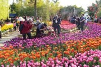 为美好而来,在廊坊游玩赏花