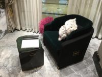 奢享界大咖:平凹国际家居温馨而又优雅单人休闲沙发椅