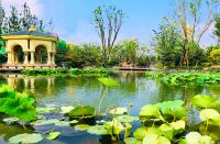 恒大翡翠华庭&middot;铂郡:难舍纯洋房,全城竞争藏