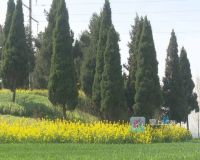 亳州一乡镇,因范蠡西施墓而得名!