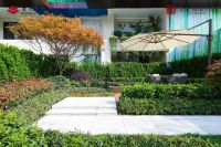 禧瑞江南 | 雅院时光的6重欢趣