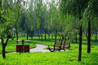 为美好而来&mdash;生活艺术 全都蕴涵在一方庭院里