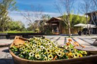 为美好而来&mdash;生活艺术 全都蕴涵在一方庭院里