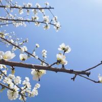 与武汉龙湖一起,倾听武汉重启的声音