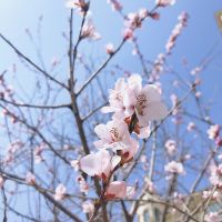 与武汉龙湖一起,倾听武汉重启的声音