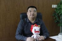 绿色未来 |大家居多元化趋势下，世友地板渠道营销策略解