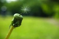 为美好而来|江悦城公园里创造幸福美好生活