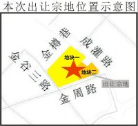 成都金牛区2020年首拍 9.16亿元底价出让