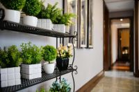 臻稀即争藏I城央墅境洋房,限量新品盛大加推