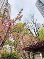 春季踏青赏房去! 2020年贵阳环境优质楼盘大推荐