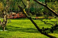 【海通&middot;在水一方】心有自在湖岸境,万般生活皆风景