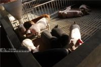 广西房地产投资呈现趋势性问题,梧州&hellip;