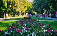 把家安在公园旁 居住在光运雲府是一种什么生活体验?