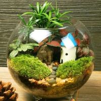 同信&middot;新著 惊喜玩出趣,美丽新世界 | 放飞想象痛快玩