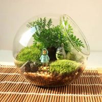 同信&middot;新著 惊喜玩出趣,美丽新世界 | 放飞想象痛快玩