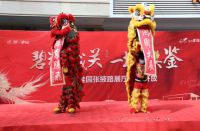 碧桂园甘肃区域品牌展厅  盛大开放