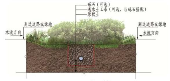 龙光地产：践行ESG环境责任 助力海绵城市建设