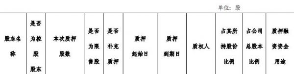 大名城：名城企业集团质押1.16亿股股份 占总股本4.69%-中国网地产