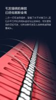 以科技之名 顺造Z11吸尘器登陆天猫