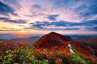 春茶、杜鹃、美食，这里有五一节你不得不去的三个理由